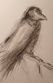 crow Anna Gorbacheva