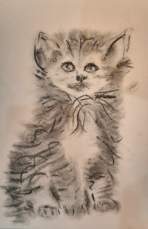 Cat Anna Gorbacheva