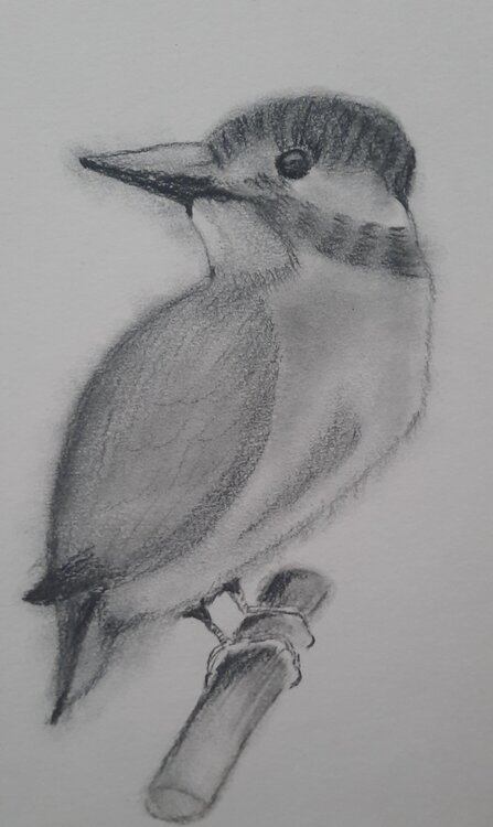 bird Anna Gorbacheva