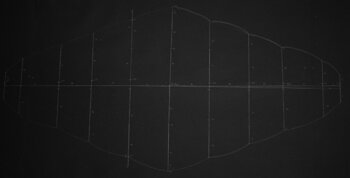 The Galactic Donut Maksymilian Nehrebecki