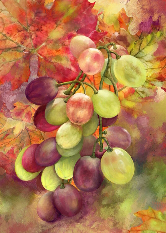 Promessa di Dolcezza Grazia Scalia