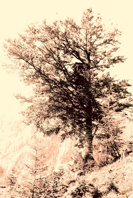 Der Jäger Andreas Peter Spivey