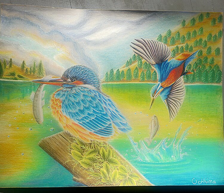 Kingfisher life Octhima