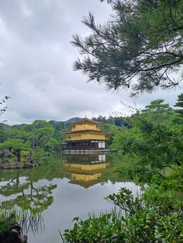 Kyoto's golden temple Loulou Nini
