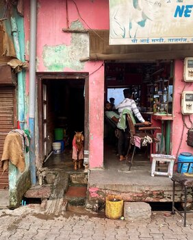 Find the goat Alienor Chateau