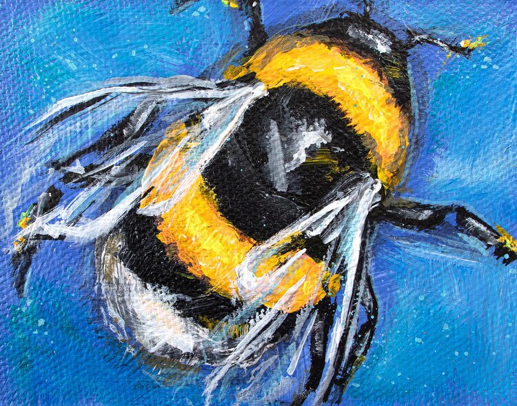 Bumble Bee Jana Voscort