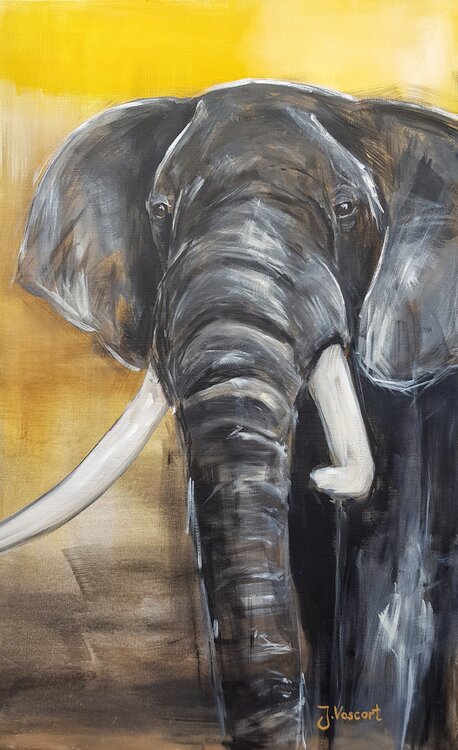 Elephant Jana Voscort