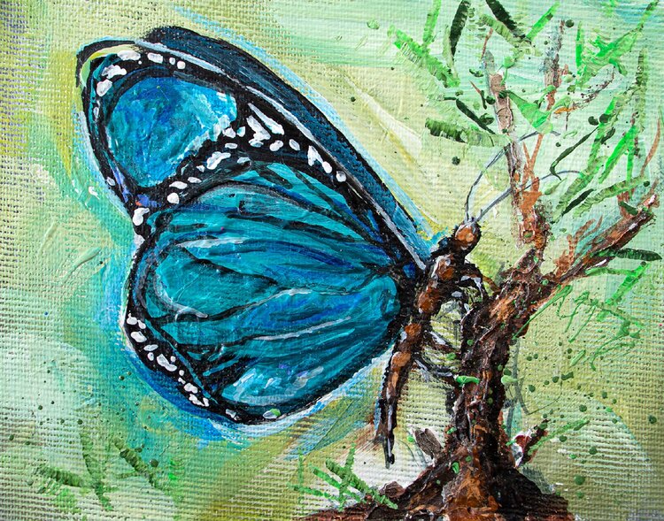 Butterfly Jana Voscort