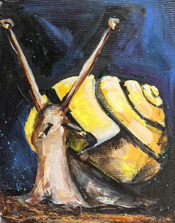 Snail Jana Voscort