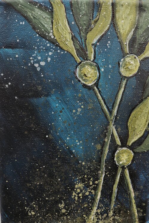 Sea weed Jana Voscort