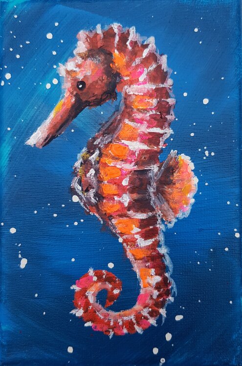 Sea horse Jana Voscort