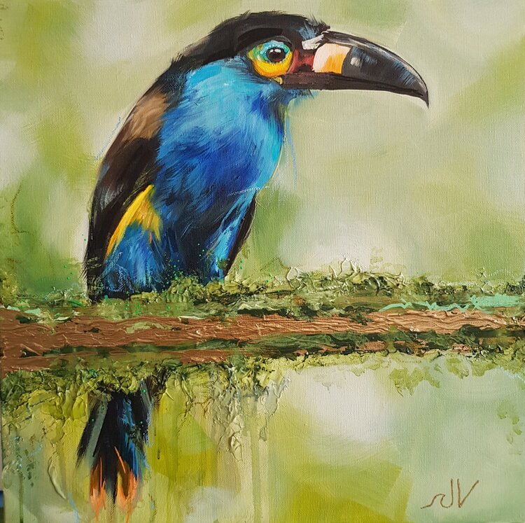 Tucan Jana Voscort