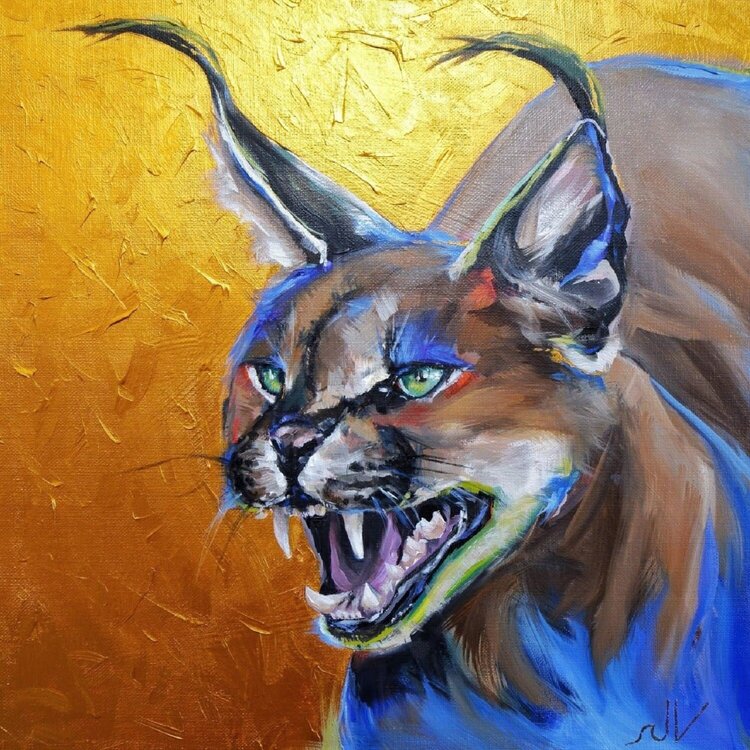 Caracal Jana Voscort