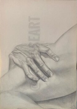 El rapto de Proserpina de Bernini Rosa Ana Parra Alonso