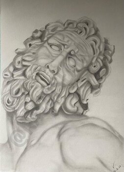 Rostro de Laocoonte Rosa Ana Parra Alonso