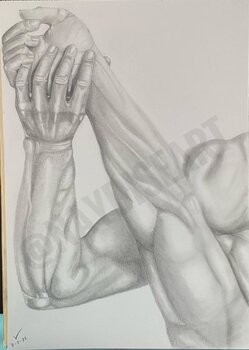 Manos de luchadores pancracios Rosa Ana Parra Alonso