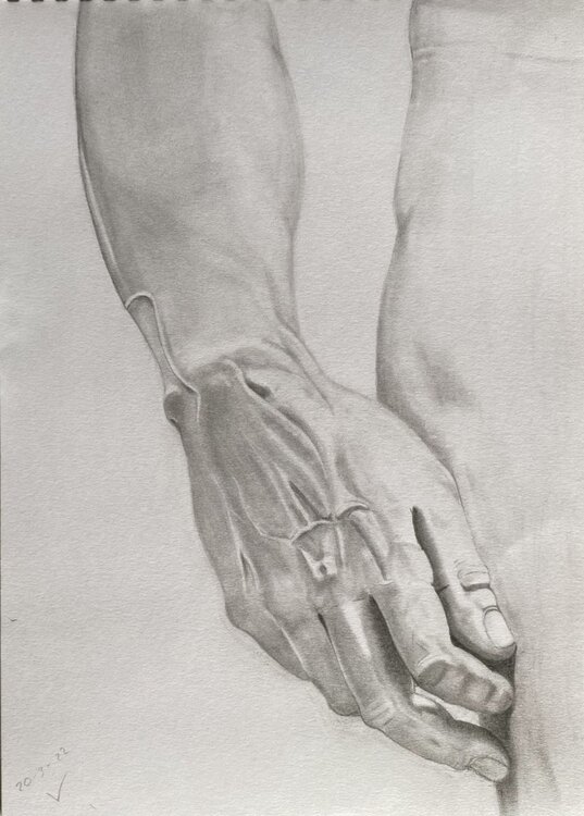 Mano del David de Miguel Ángel Rosa Ana Parra Alonso