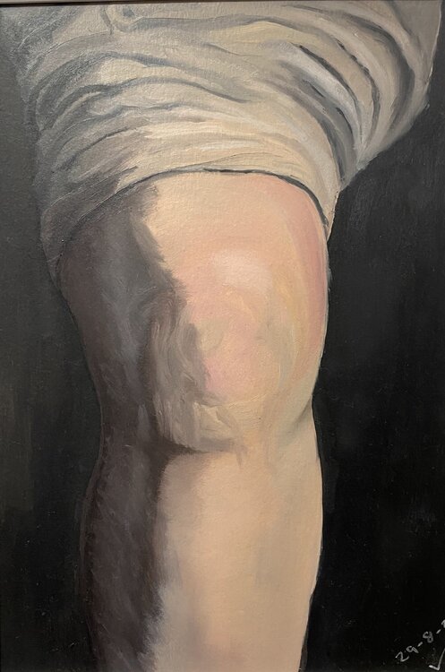 La rodilla Rosa Ana Parra Alonso