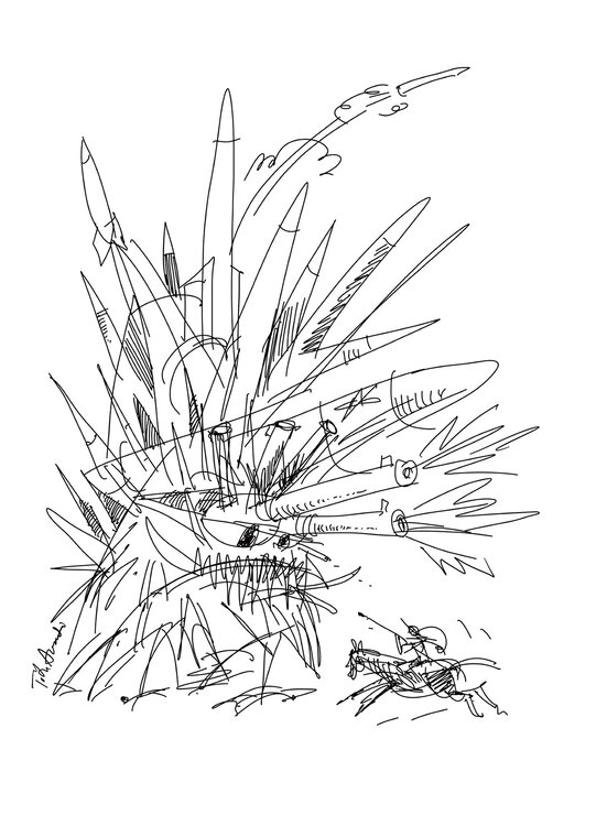 Don Quixote at War 2023 Tóth Avanti Péter