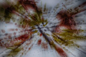 Abstract 005 David Layzelle