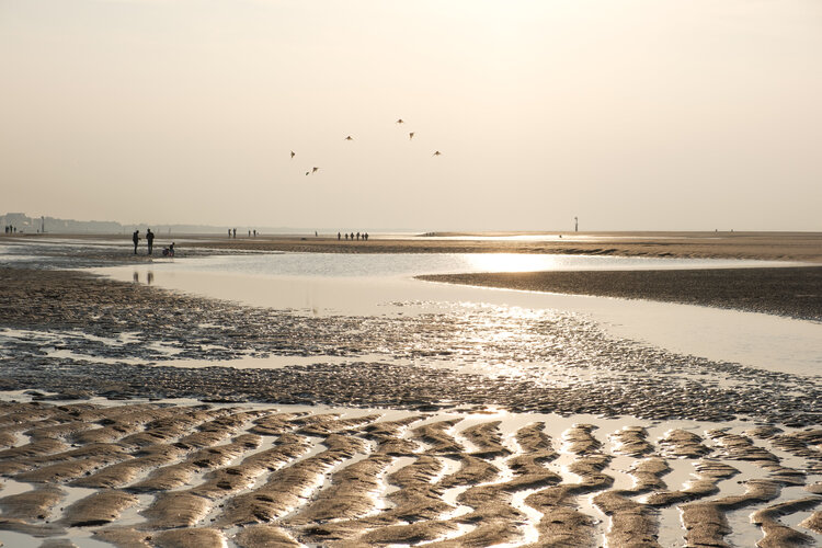 Plage de Normandie Jean-Francois Bessin
