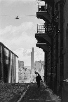 Winter Wanderer Peixuan Captures