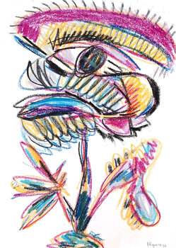 Your honor the judge Jose Antonio Higuero