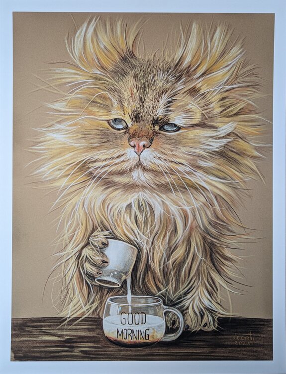 Catuccino Irooty