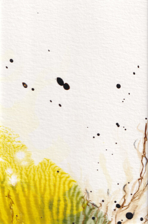 Farben des Meeres - 1 Nina Labner