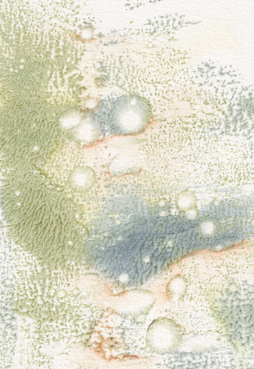 Der erste Schnee Nina Labner