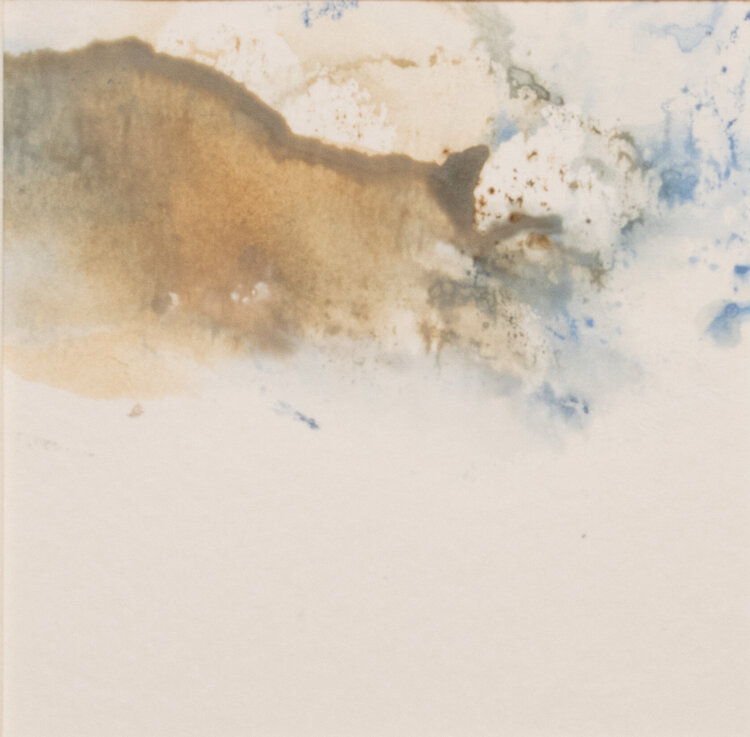 Fern Nina Labner