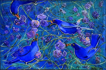 Greed Natasha O'Shea