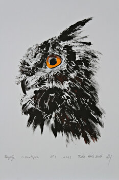 Owl Todor Attila Zsolt