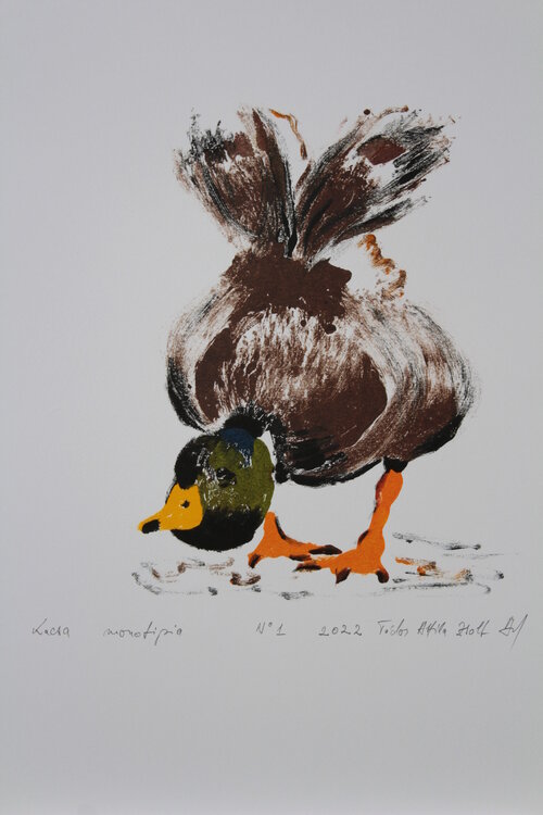 Duck Todor Attila Zsolt