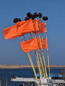 Beachcolors Nils Hagedorn
