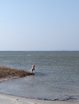 Dog at the beach Nils Hagedorn