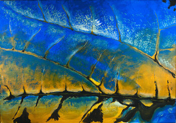 Foglia 2 Giorgio Paci