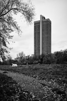 Securitas Philipp Gabriel