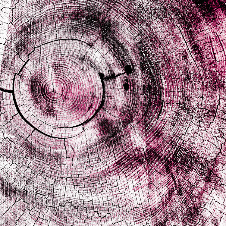 Pink Karma bruno houdayer