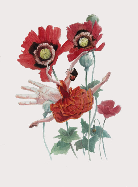 Les Coquelicots Caroline Gaujour