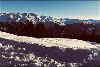 Frozen Majesty ROULA KADAH