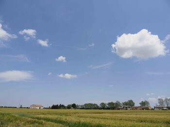 Paesaggio emiliano ALBERTO CECCHI