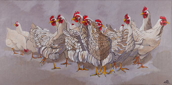 Le Galline Cinzia Berri