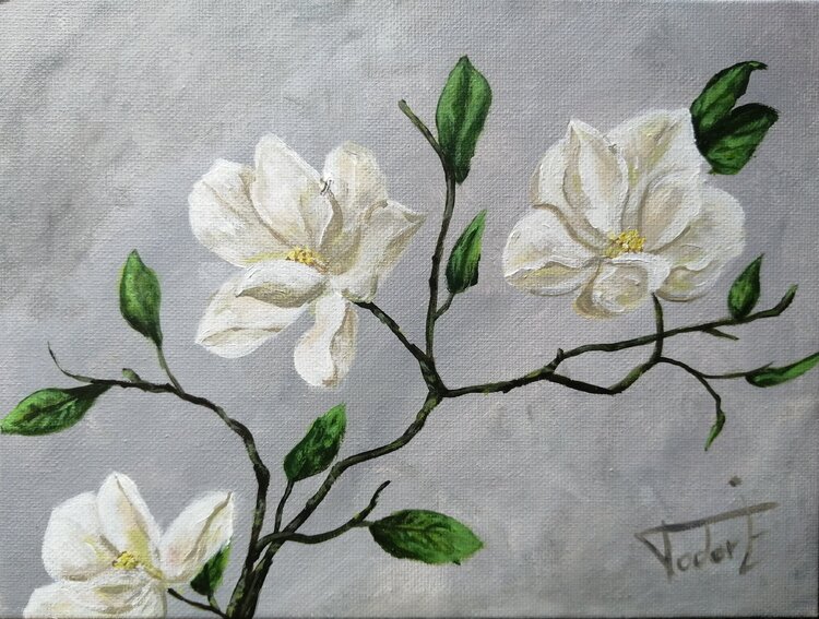 Magnolias TODOR ISTVÁN-EMÁNUEL
