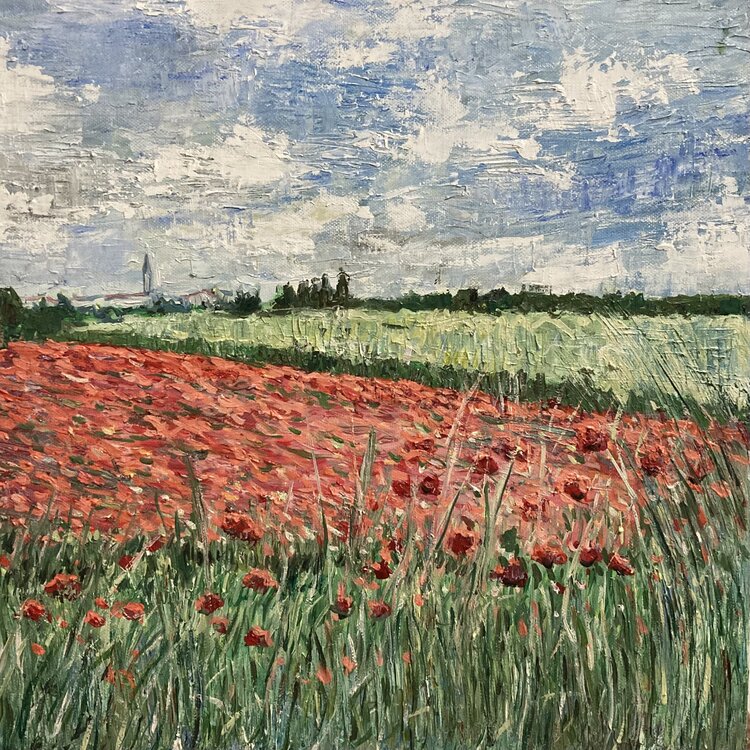 Campo di papaveri Ivana Schiavo