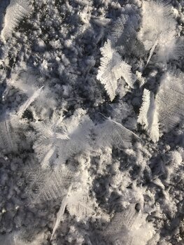 Snow Flakes Catharina Gronert