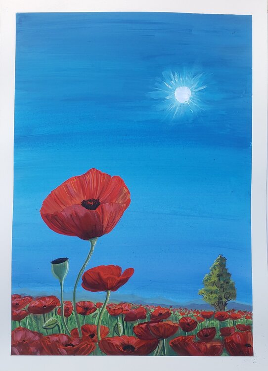 Coquelicots Deborah Ozil