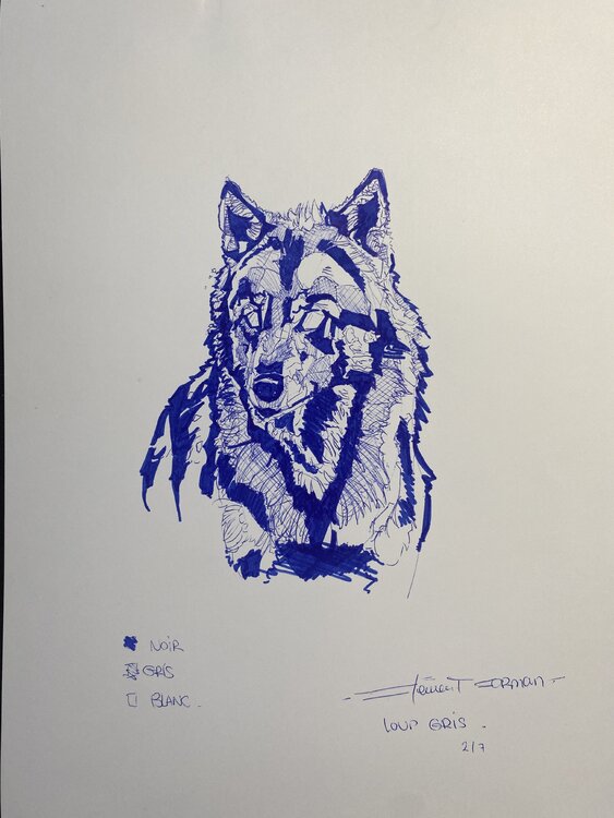 « LOUP GRIS » Clément Corman