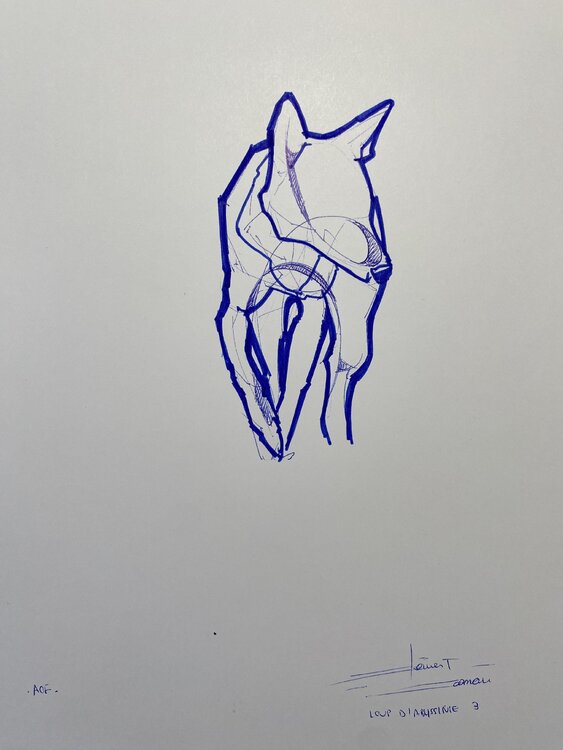 « LOUP D’ABYSSINIE » -AOF- Clément Corman