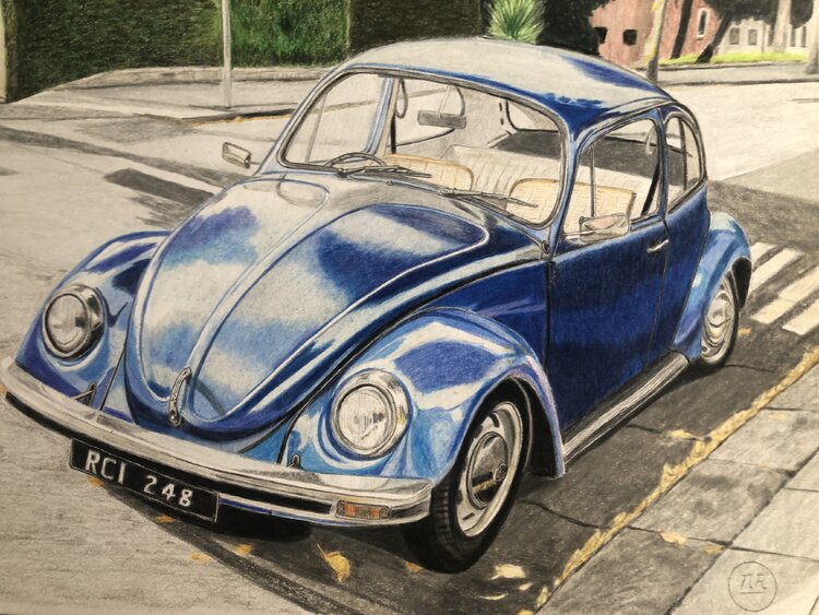 La coccinelle. Pierre Bayet